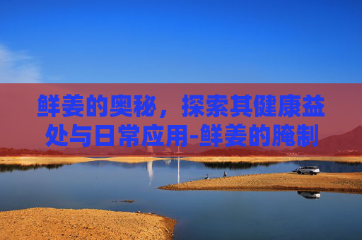 鲜姜的奥秘，探索其健康益处与日常应用-鲜姜的腌制方法