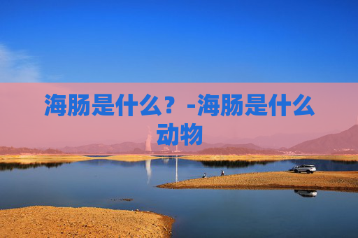 海肠是什么?-海肠是什么动物 海肠是什么?-海肠是什么动物