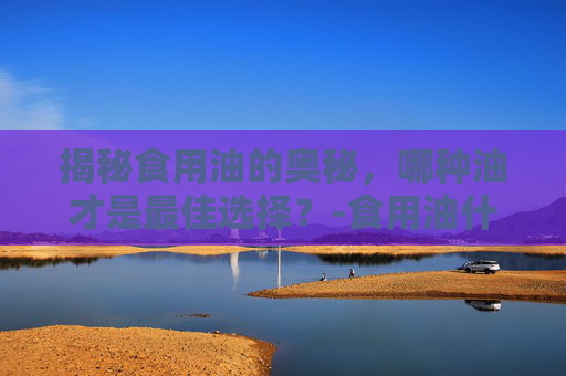 揭秘食用油的奥秘，哪种油才是最佳选择？-食用油什么油最好吃排行榜