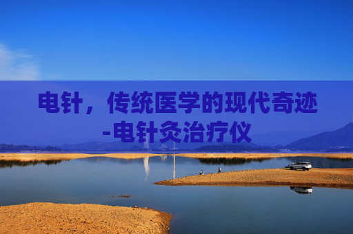 电针,传统医学的现代奇迹-电针灸治疗仪 电针,传统医学的现代奇迹-电针灸治疗仪
