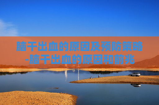 脑干出血的原因及预防策略-脑干出血的原因和前兆