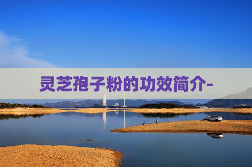 灵芝孢子粉的功效简介-