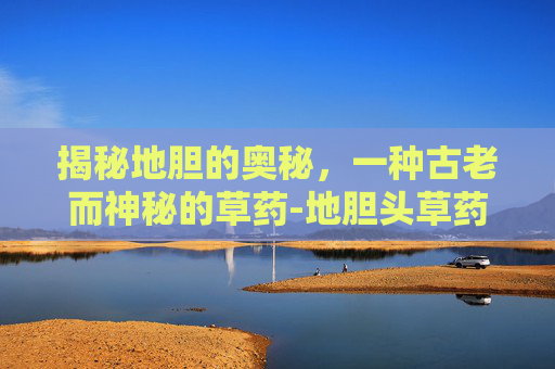 揭秘地胆的奥秘，一种古老而神秘的草药-地胆头草药图片