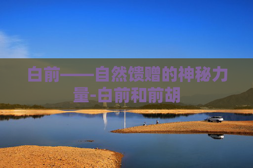 白前——自然馈赠的神秘力量-白前和前胡