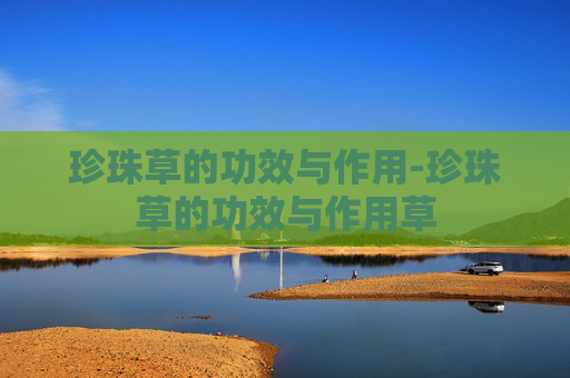 珍珠草的功效与作用-珍珠草的功效与作用草