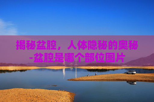 揭秘盆腔，人体隐秘的奥秘-盆腔是哪个部位图片