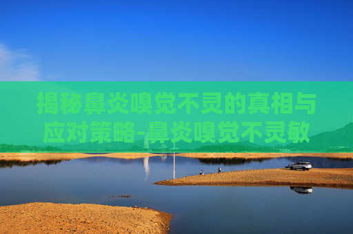 揭秘鼻炎嗅觉不灵的真相与应对策略-鼻炎嗅觉不灵敏吃什么药