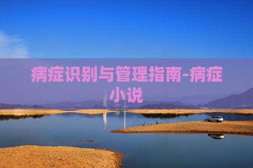 病症识别与管理指南-病症小说