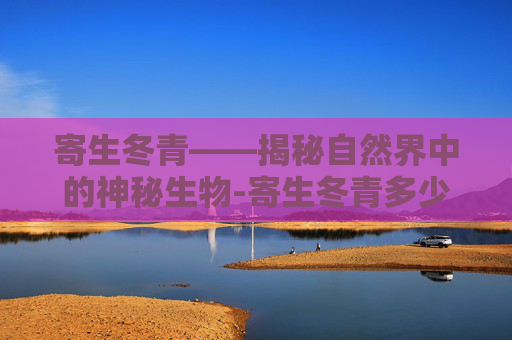 寄生冬青——揭秘自然界中的神秘生物-寄生冬青多少钱一斤