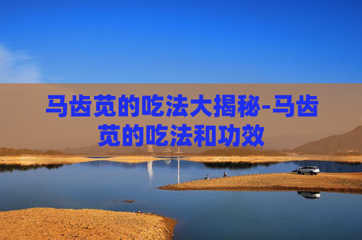 马齿苋的吃法大揭秘-马齿苋的吃法和功效