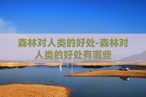 森林对人类的好处-森林对人类的好处有哪些 森林对人类的好处-森林对人类的好处有哪些