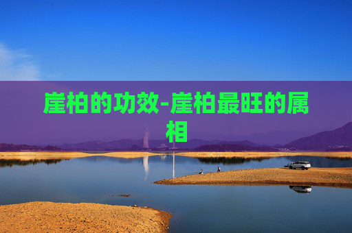 崖柏的功效-崖柏最旺的属相 崖柏的功效-崖柏最旺的属相