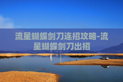 流星蝴蝶剑刀连招攻略-流星蝴蝶剑刀出招