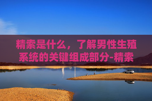 精索是什么,了解男性生殖系统的关键组成部分-精索是什么意思 精索是什么,了解男性生殖系统的关键组成部分-精索是什么意思