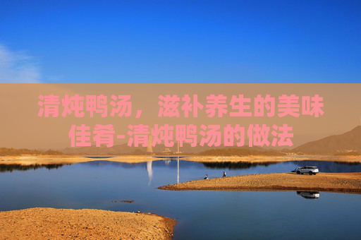 清炖鸭汤,滋补养生的美味佳肴-清炖鸭汤的做法 清炖鸭汤,滋补养生的美味佳肴-清炖鸭汤的做法