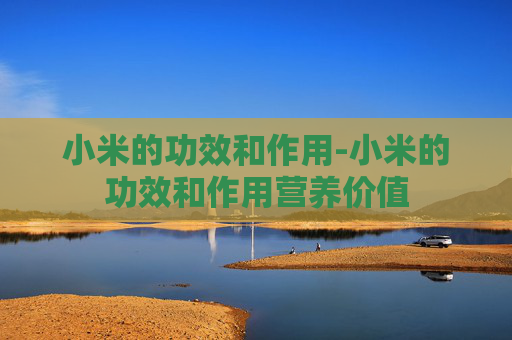 小米的功效和作用-小米的功效和作用营养价值 小米的功效和作用-小米的功效和作用营养价值