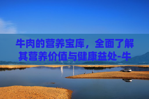 牛肉的营养宝库,全面了解其营养价值与健康益处-牛肉的营养成分表100g 牛肉的营养宝库,全面了解其营养价值与健康益处-牛肉的营养成分表100g