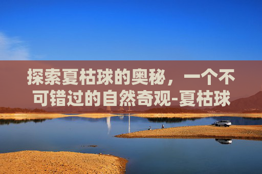 探索夏枯球的奥秘,一个不可错过的自然奇观-夏枯球功效与作用 探索夏枯球的奥秘,一个不可错过的自然奇观-夏枯球功效与作用