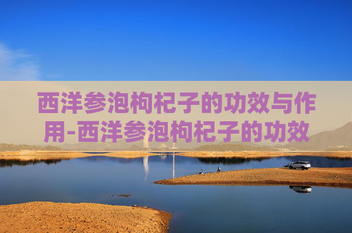 西洋参泡枸杞子的功效与作用-西洋参泡枸杞子的功效与作用男人 西洋参泡枸杞子的功效与作用-西洋参泡枸杞子的功效与作用男人