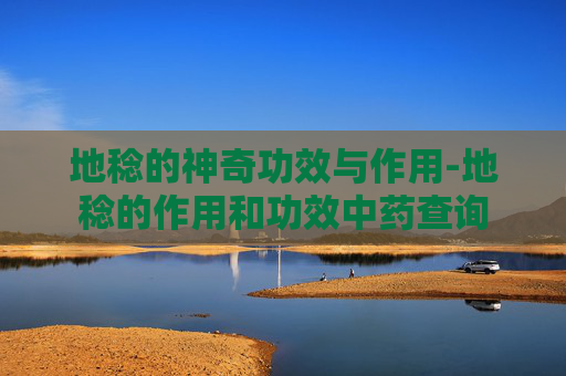 地稔的神奇功效与作用-地稔的作用和功效中药查询 地稔的神奇功效与作用-地稔的作用和功效中药查询