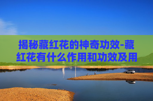 揭秘藏红花的神奇功效-藏红花有什么作用和功效及用量 揭秘藏红花的神奇功效-藏红花有什么作用和功效及用量