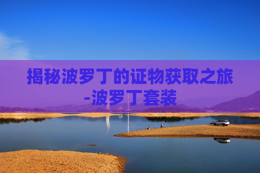 揭秘波罗丁的证物获取之旅-波罗丁套装