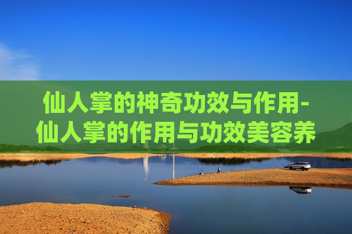 仙人掌的神奇功效与作用-仙人掌的作用与功效美容养颜 仙人掌的神奇功效与作用-仙人掌的作用与功效美容养颜