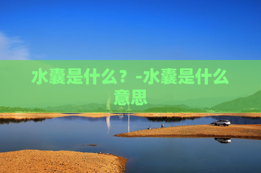水囊是什么?-水囊是什么意思 水囊是什么?-水囊是什么意思