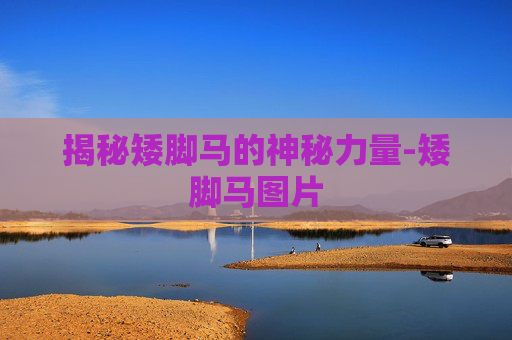 揭秘矮脚马的神秘力量-矮脚马图片 揭秘矮脚马的神秘力量-矮脚马图片
