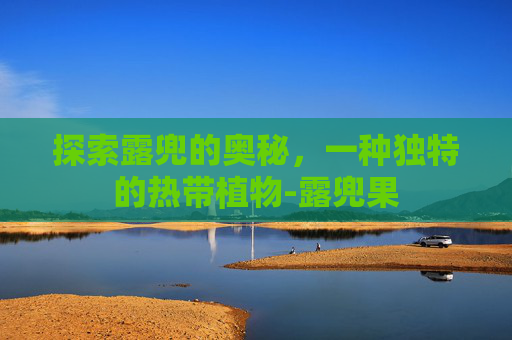 探索露兜的奥秘,一种独特的热带植物-露兜果 探索露兜的奥秘,一种独特的热带植物-露兜果
