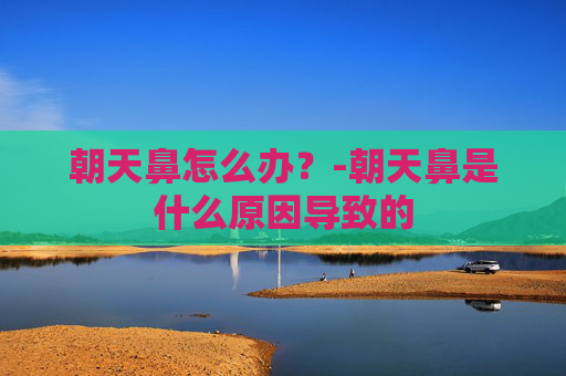 朝天鼻怎么办?-朝天鼻是什么原因导致的 朝天鼻怎么办?-朝天鼻是什么原因导致的