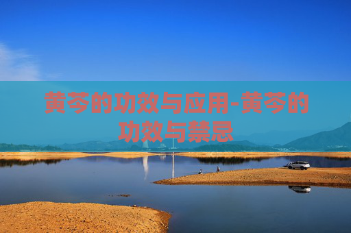 黄芩的功效与应用-黄芩的功效与禁忌 黄芩的功效与应用-黄芩的功效与禁忌