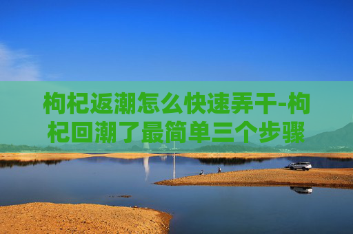 枸杞返潮怎么快速弄干-枸杞回潮了最简单三个步骤 枸杞返潮怎么快速弄干-枸杞回潮了最简单三个步骤
