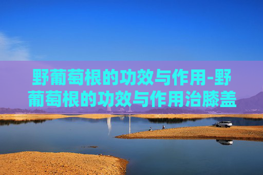 野葡萄根的功效与作用-野葡萄根的功效与作用治膝盖疼 野葡萄根的功效与作用-野葡萄根的功效与作用治膝盖疼