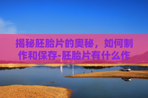 揭秘胚胎片的奥秘,如何制作和保存-胚胎片有什么作用 揭秘胚胎片的奥秘,如何制作和保存-胚胎片有什么作用