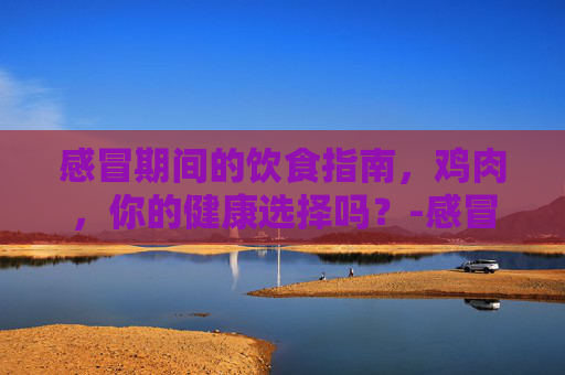 感冒期间的饮食指南,鸡肉,你的健康选择吗?-感冒可以吃鸡吗喝鸡汤吗 感冒期间的饮食指南,鸡肉,你的健康选择吗?-感冒可以吃鸡吗喝鸡汤吗
