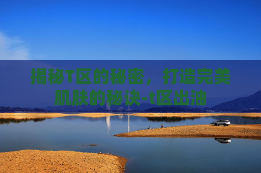 揭秘T区的秘密,打造完美肌肤的秘诀-t区出油 揭秘T区的秘密,打造完美肌肤的秘诀-t区出油