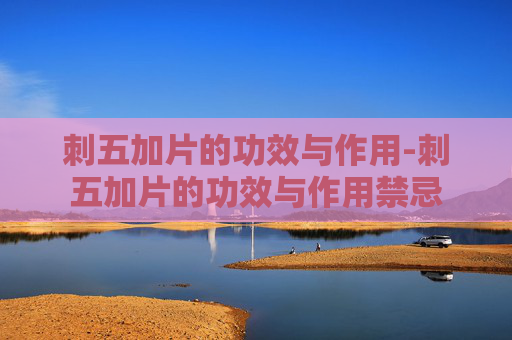 刺五加片的功效与作用-刺五加片的功效与作用禁忌 刺五加片的功效与作用-刺五加片的功效与作用禁忌