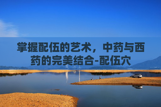 掌握配伍的艺术,中药与西药的完美结合-配伍穴 掌握配伍的艺术,中药与西药的完美结合-配伍穴
