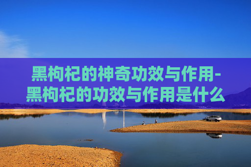 黑枸杞的神奇功效与作用-黑枸杞的功效与作用是什么 黑枸杞的神奇功效与作用-黑枸杞的功效与作用是什么