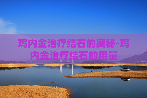 鸡内金治疗结石的奥秘-鸡内金治疗结石的用量 鸡内金治疗结石的奥秘-鸡内金治疗结石的用量