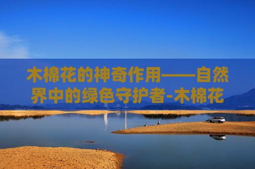 木棉花的神奇作用——自然界中的绿色守护者-木棉花的作用与功效 木棉花的神奇作用——自然界中的绿色守护者-木棉花的作用与功效