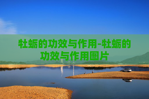 牡蛎的功效与作用-牡蛎的功效与作用图片 牡蛎的功效与作用-牡蛎的功效与作用图片