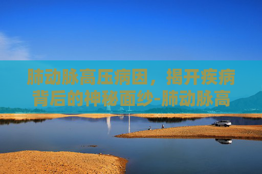 肺动脉高压病因,揭开疾病背后的神秘面纱-肺动脉高压病因及发病机制 肺动脉高压病因,揭开疾病背后的神秘面纱-肺动脉高压病因及发病机制