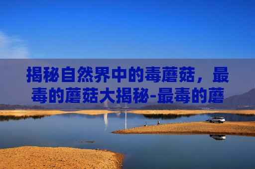 揭秘自然界中的毒蘑菇,最毒的蘑菇大揭秘-最毒的蘑菇图片 揭秘自然界中的毒蘑菇,最毒的蘑菇大揭秘-最毒的蘑菇图片