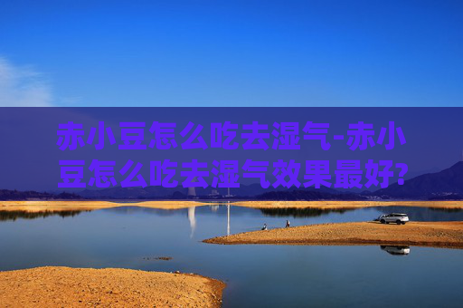 赤小豆怎么吃去湿气-赤小豆怎么吃去湿气效果最好?需要搭配哪些食材? 赤小豆怎么吃去湿气-赤小豆怎么吃去湿气效果最好?需要搭配哪些食材?