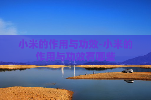 小米的作用与功效-小米的作用与功效有哪些 小米的作用与功效-小米的作用与功效有哪些