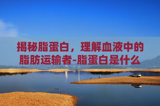 揭秘脂蛋白,理解血液中的脂肪运输者-脂蛋白是什么意思偏高严重吗 揭秘脂蛋白,理解血液中的脂肪运输者-脂蛋白是什么意思偏高严重吗