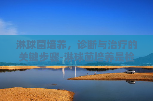 淋球菌培养,诊断与治疗的关键步骤-淋球菌培养是检查什么 淋球菌培养,诊断与治疗的关键步骤-淋球菌培养是检查什么
