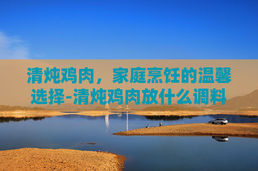 清炖鸡肉,家庭烹饪的温馨选择-清炖鸡肉放什么调料 清炖鸡肉,家庭烹饪的温馨选择-清炖鸡肉放什么调料